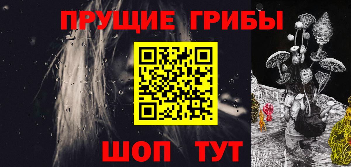Галлюциногенные грибы Psilocybine cubensis  Вход с VPN  Бутурлиновка 